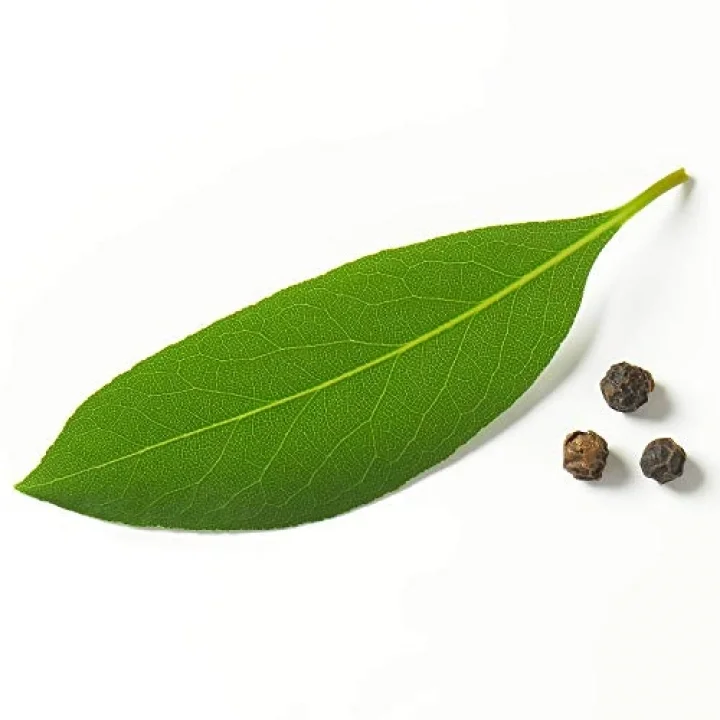 Defne Yağı 50 Ml