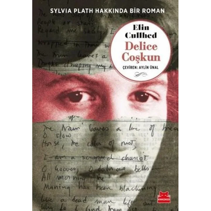 Delice Coşkun - Sylvia Plath Hakkında Bir Roman
