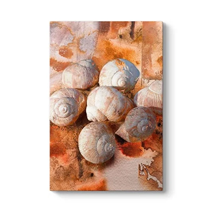 Deniz Kabuğu Soyut Tablosu 50 x 75