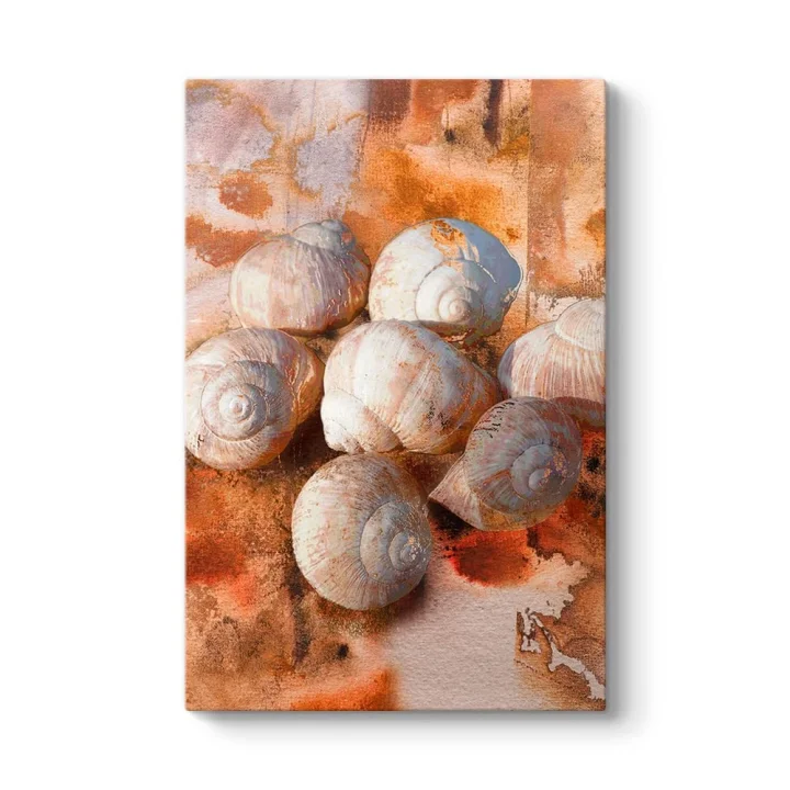 Deniz Kabuğu Soyut Tablosu 50 x 75