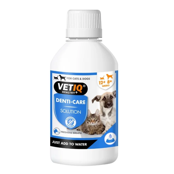 Denti Care Diş Bakım Solusyonu 250 Ml