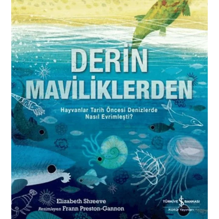 Derin Maviliklerden