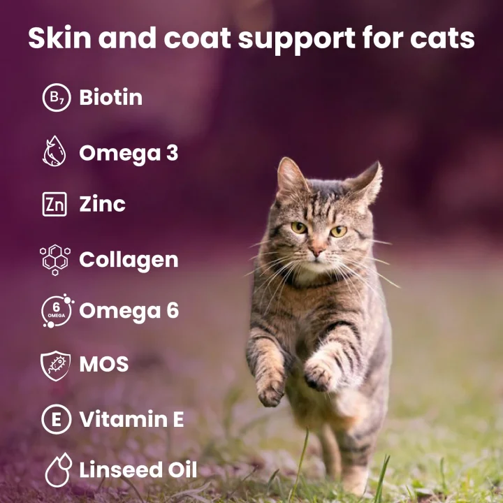 Dermacat Macun Cilt ve Mont Desteği Kediler için 100ml