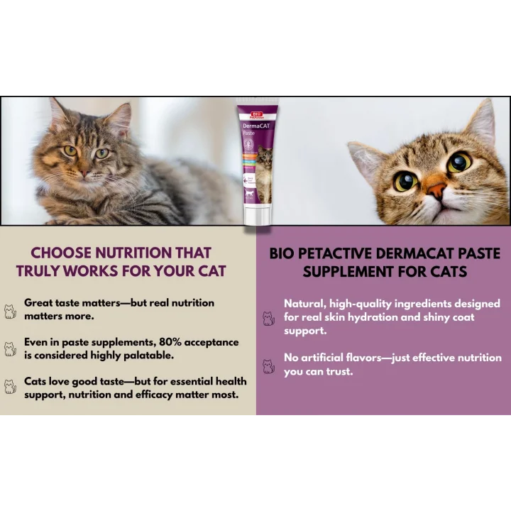 Dermacat Macun Cilt ve Mont Desteği Kediler için 100ml