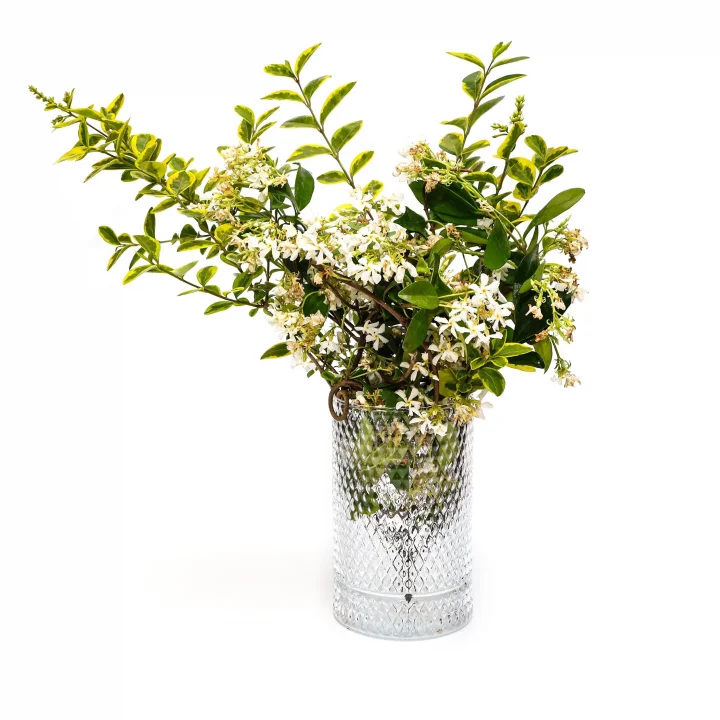 Diamond Cam Vazo/Mumluk (17 cm)