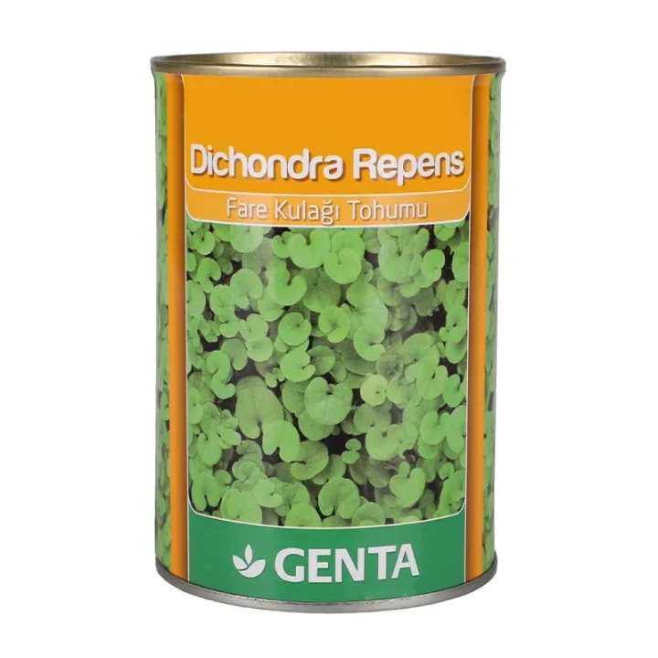 Dichondra Repens Çim Tohumu 250 Gr