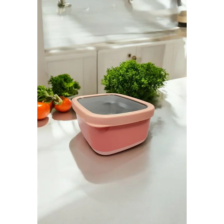Dikdörtgen Saklama Kabı 2 L Pembe Vp-931, Pembe