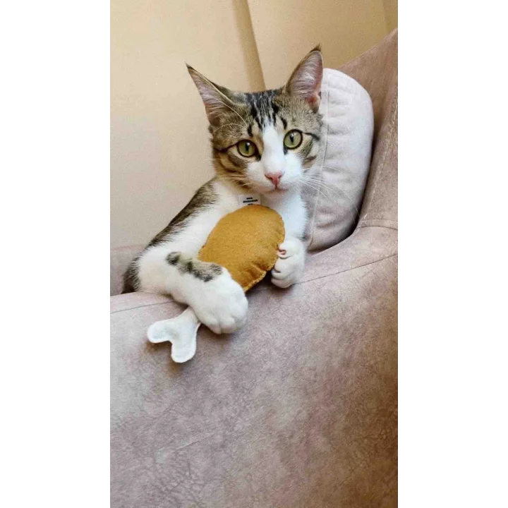 Dino But 18 cm Catnip + Kedi Zili