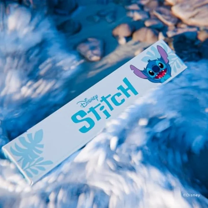 Disney Stitch Oyun Kartları