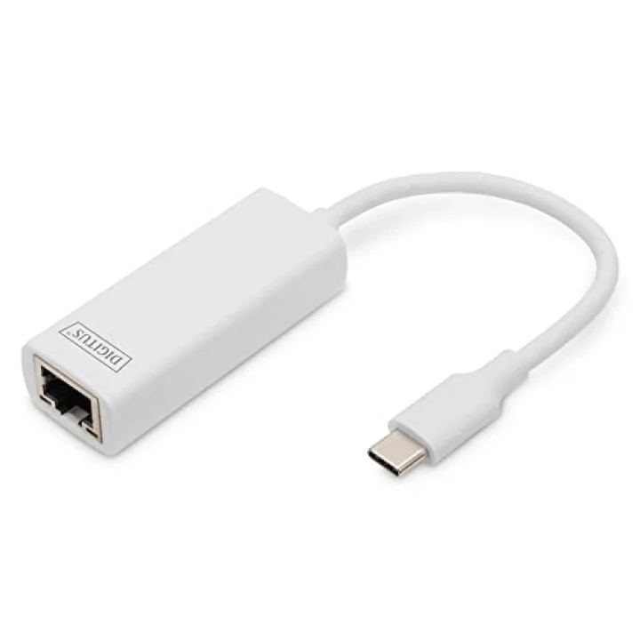 DN-3024 Usb Type-C Gigabit Ethernet Adaptörü