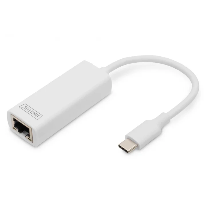 DN-3024 Usb Type-C Gigabit Ethernet Adaptörü