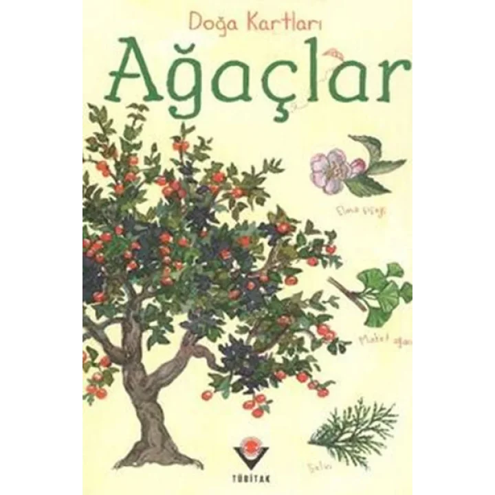 Doğa Kartları - Ağaçlar