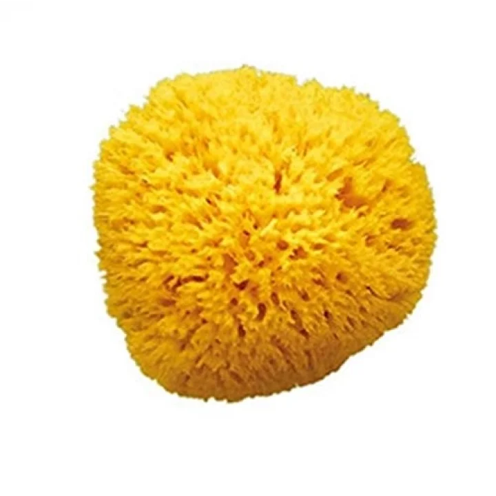 Dogal Banyo Sungeri No.12