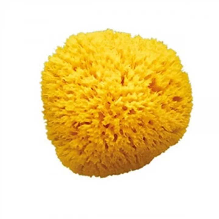 Dogal Banyo Sungeri No.12
