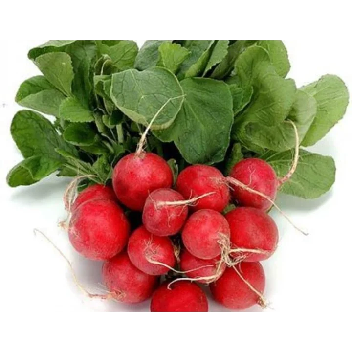 Doğal Cherry Turp Tohumu
