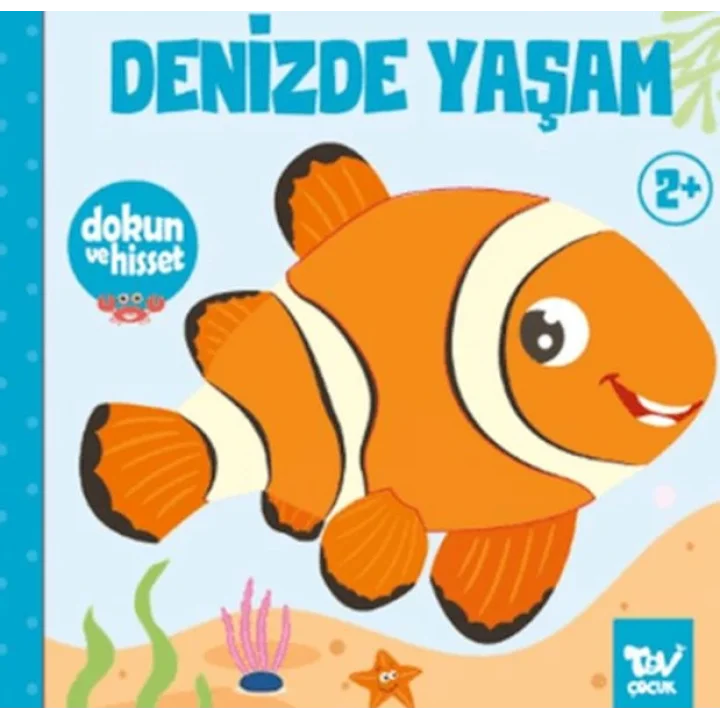 Dokun ve Hisset Denizde Yaşam