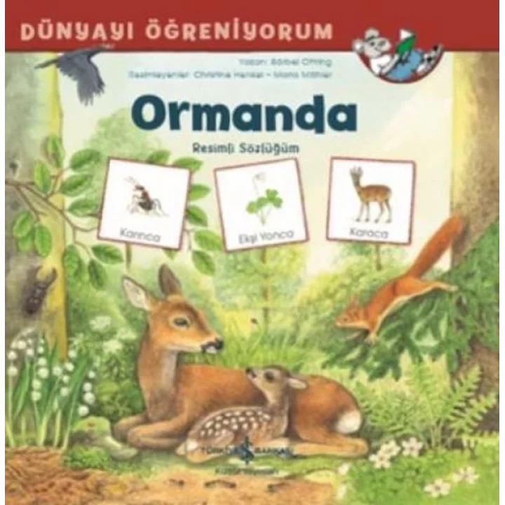Dünyayı Öğreniyorum Ormanda Resimli Sözlüğüm