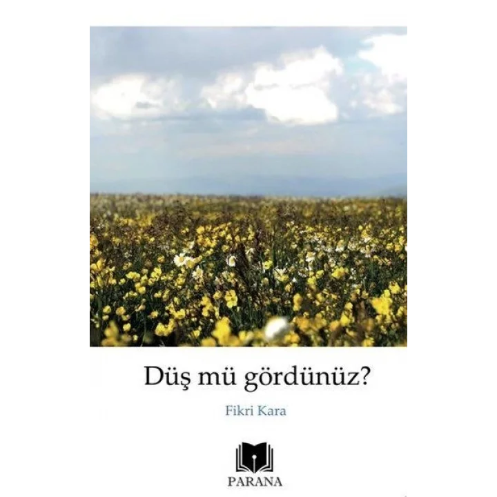 Düş mü Gördünüz?