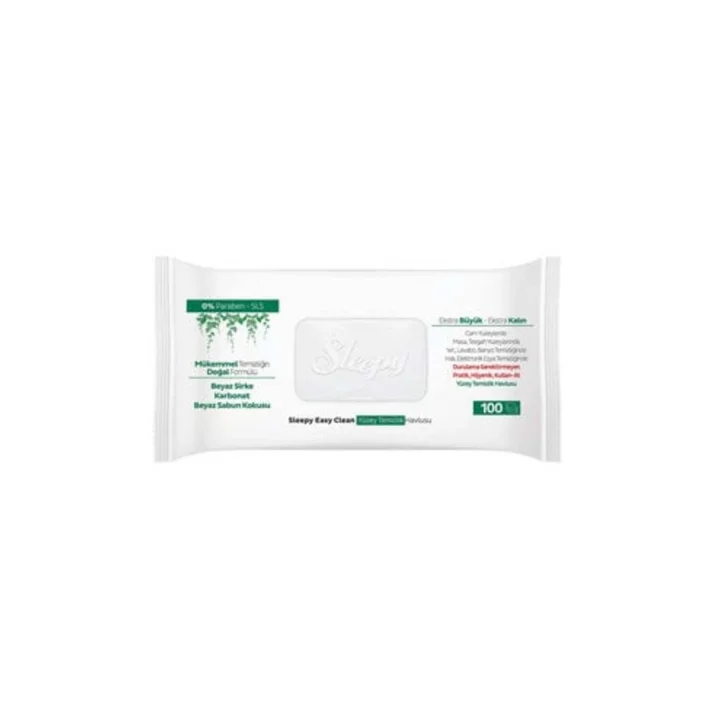 Easy Clean Yüzey Temizlik Havlusu 100 lü x 6 Adet