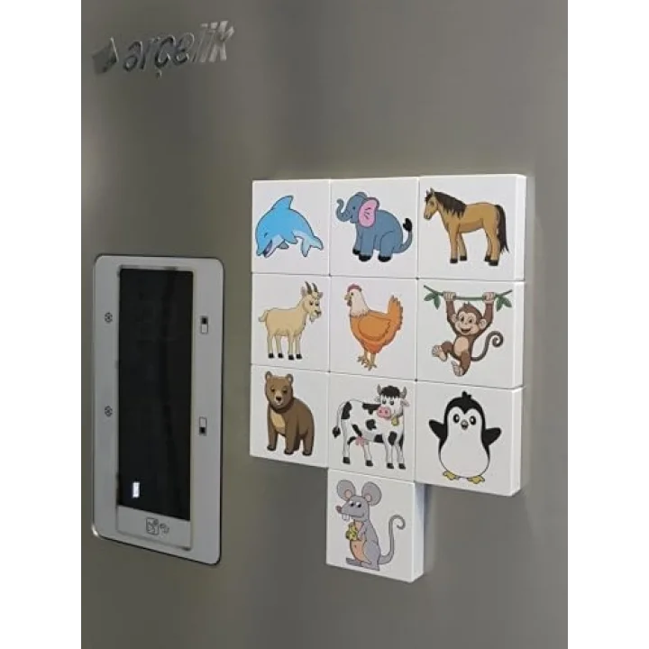 Efenin Hayvanat Bahçesi Seri-1 / Manyetik Blok- Magnet 20 Hayvan Figürü