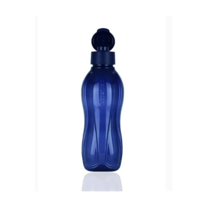 Eko Şişe Suluk 500 ml, RF567