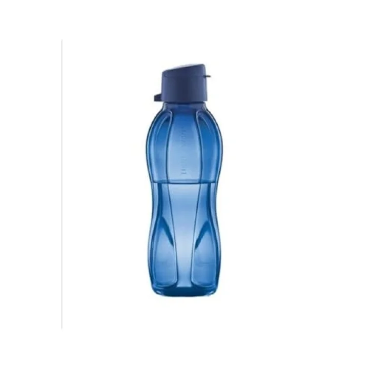Eko Şişe Suluk 500 ml, RF567