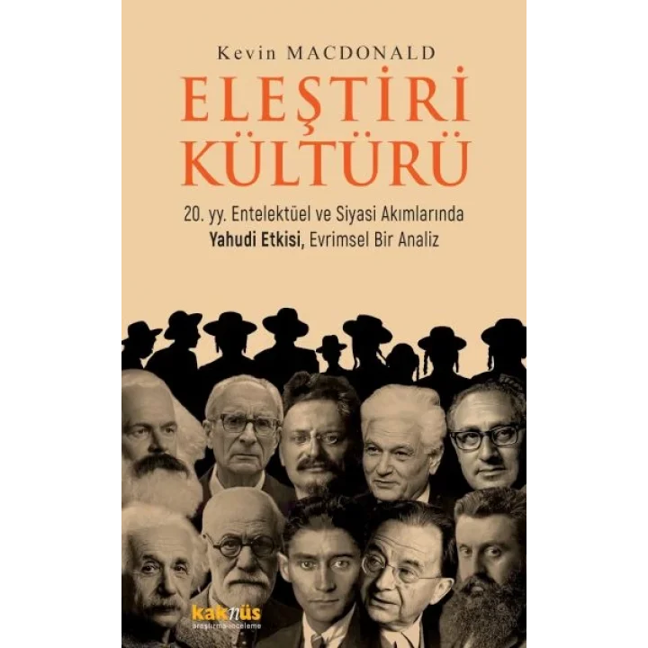 Eleştiri Kültürü