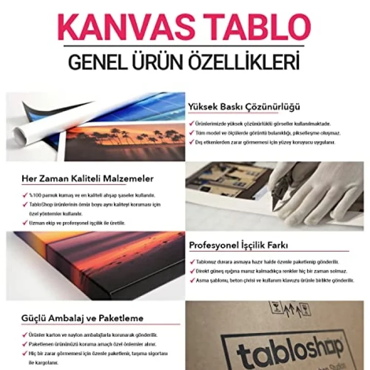 Elvis Presley Kanvas Tablo 30 x 50