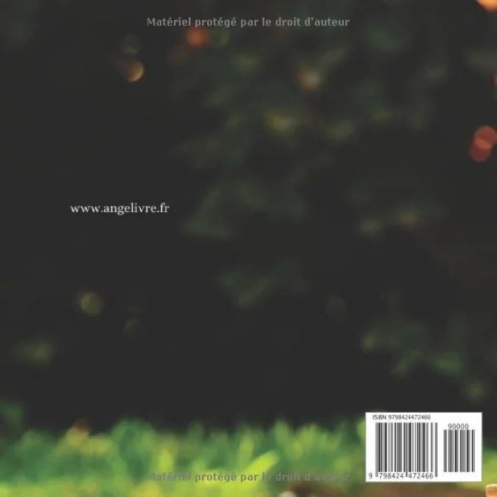 Emmy: Souvenirs de naissance - album à compléter et personnaliser avec vos photos - format 21X21 (French Edition)