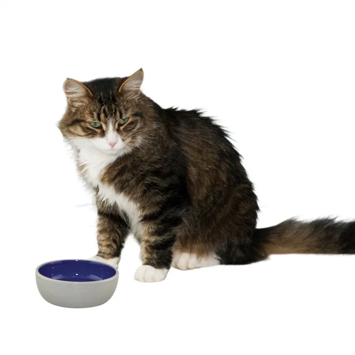 Ethical 5 İnç Kedi veya Sürüngen Seramik Tabak