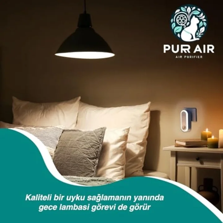 Evcil hayvan Kötü koku giderici