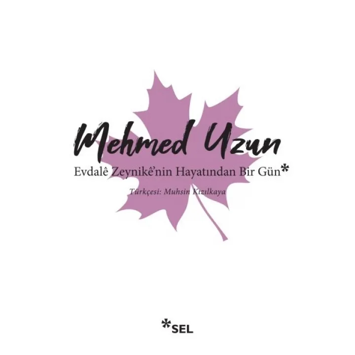 Evdale Zeynikenin Hayatından Bir Gün