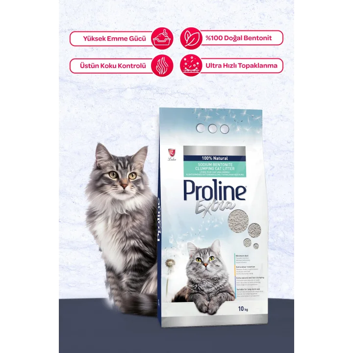 Extra Sodıum Bentonite Gri Bentonit Topaklaşan Kedi Kumu 10 L