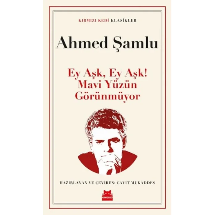 Ey Aşk, Ey Aşk! Mavi Yüzün Görünmüyor