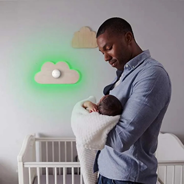 FGRGBW 442 Akıllı Ev RGBW Led Kontrol Modülü