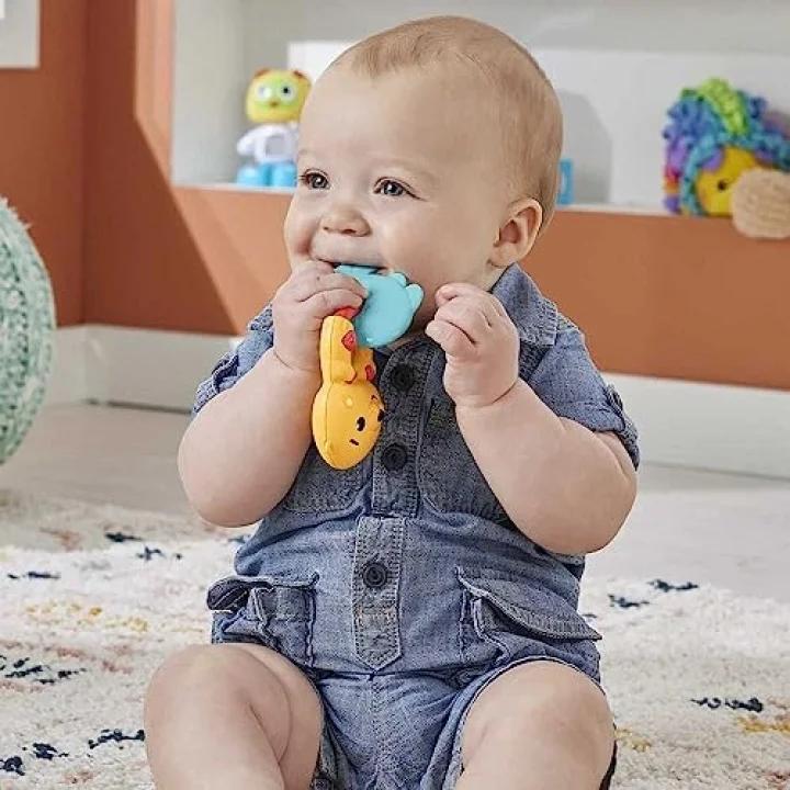 Fisher Price Eğlenceli Dostlar HJW11 - Su Samuru Dişlik