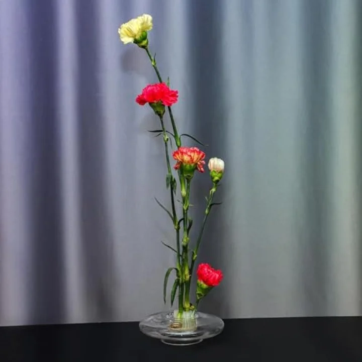 Flora Design-Balance Series Şeffaf Cam Vazo