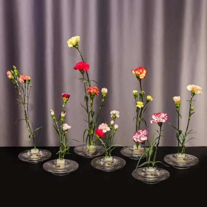 Flora Design-Balance Series Şeffaf Cam Vazo