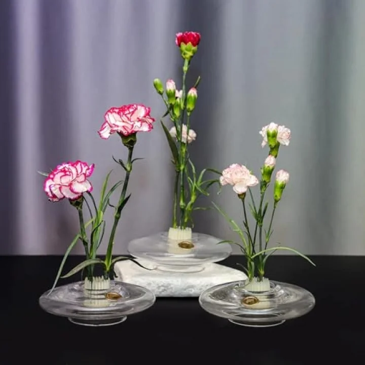 Flora Design-Balance Series Şeffaf Cam Vazo
