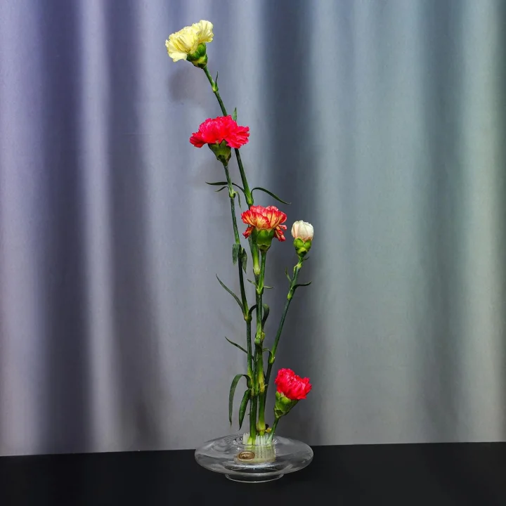 Flora Design-Balance Series Şeffaf Cam Vazo