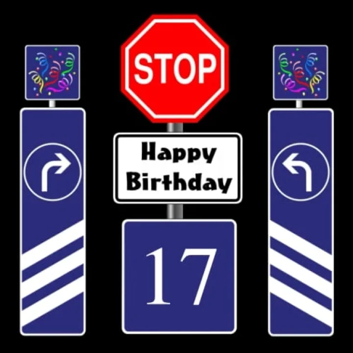 Fotoalbum 17. Geburtstag Stoppschild Geschenkidee Happy Birthday Gästebuch Kindergeburtstag Straßenschild Fototagebuch Verkehrszeichen Guest Book Verkehrsschild Geburtstagsfotoalbum