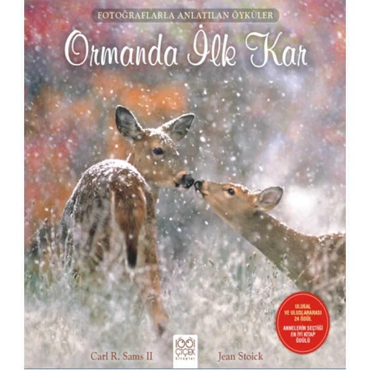 Fotoğraflarla Anlatılan Öyküler - Ormanda İlk Kar