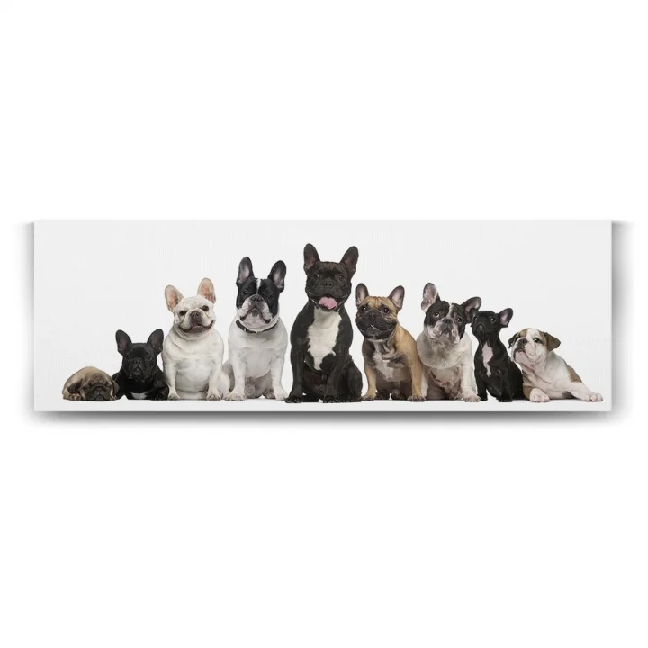 Fransız Bulldog Ailesi Tablosu - 120x40cm