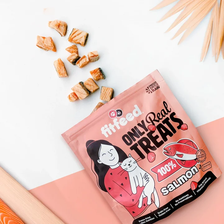 Freeze-Dried Çiğ Somon Kedi Ödül Maması 40g