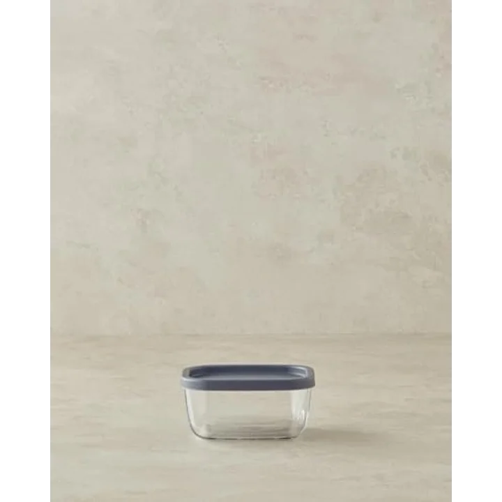 Fresh Safe Cam Saklama Kabı 270 ml Gri