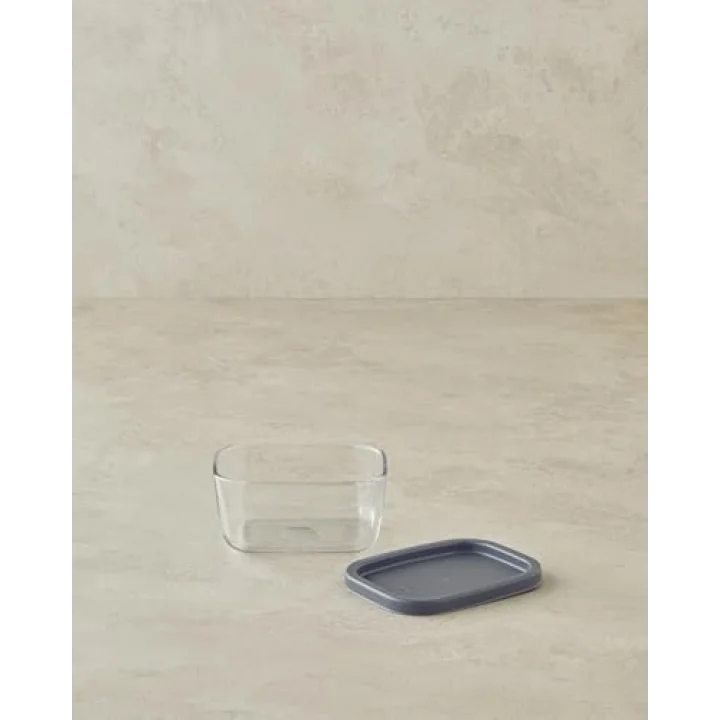 Fresh Safe Cam Saklama Kabı 270 ml Gri