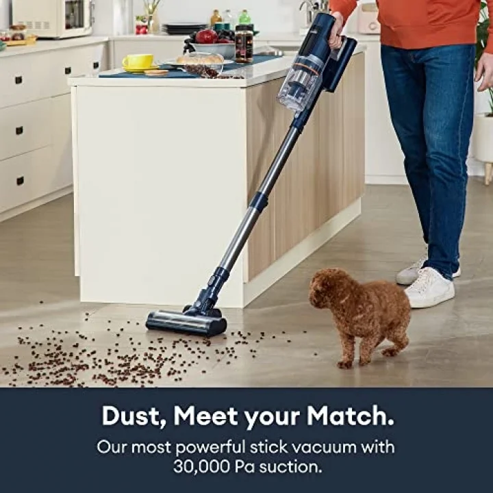 FS1 Cordless Vacuum Cleaner, with Automatic Emptying Station, Powerful Suction 30KPa/450W, Removable Battery up to 60 Mins, Stick Vacuum Cleaner for Hard Floor Home Carpets