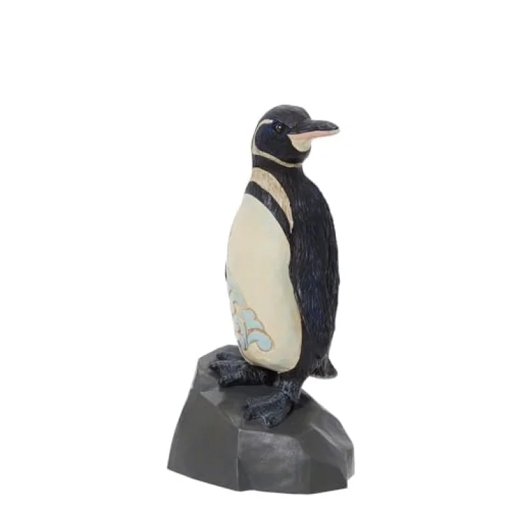 Galapagos Penguen