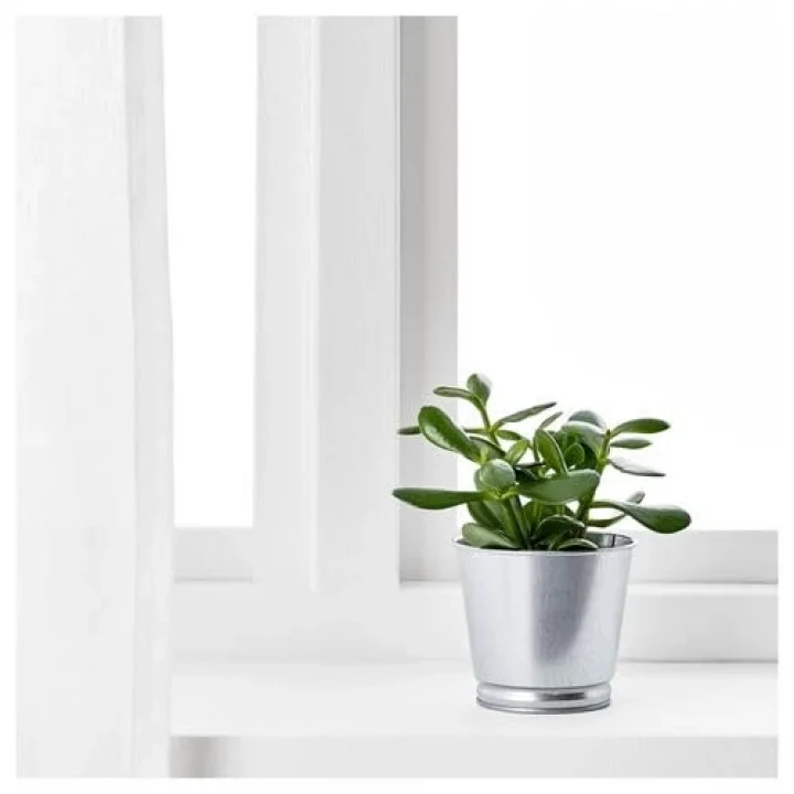 Galvanizli Gümüş Renk Saksı Bitki Çiçek Saksısı 9 cm Çelik