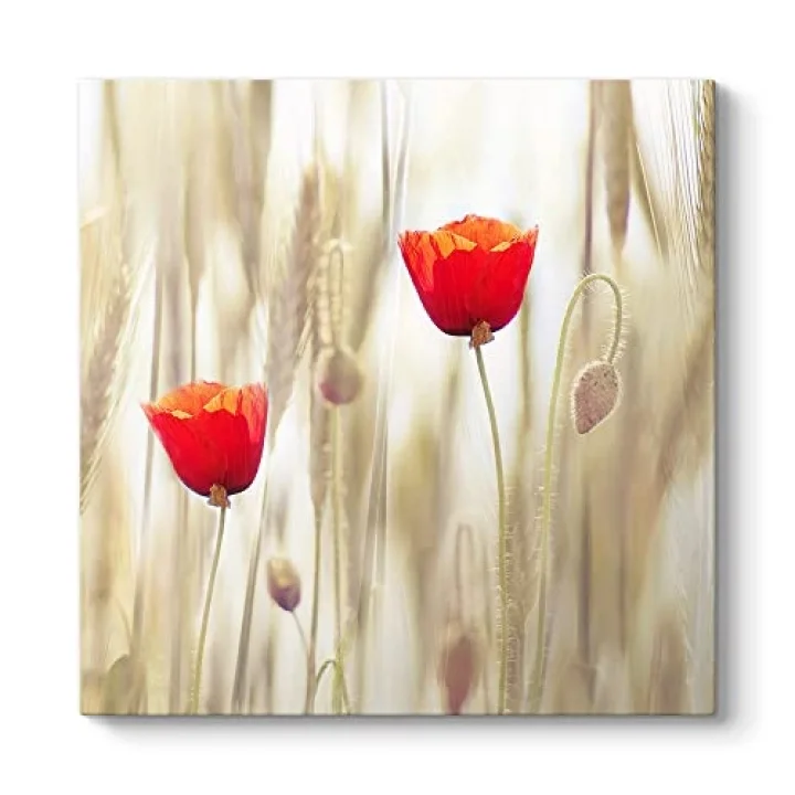 Gelincik Çiçeği Tablosu 30 x 30